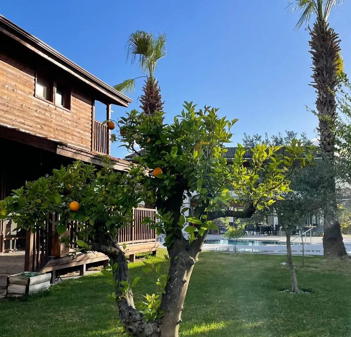 Prázdninový dům Defne Olive Gardens, Koca Calis, Fethiye - Previously Defne Pansiyon
