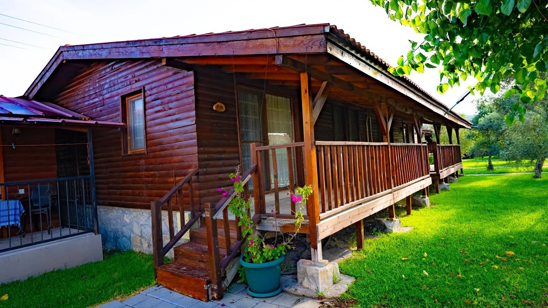 Defne Olive Gardens, Koca Calis, Fethiye - Previously Defne Pansiyon Türkiye