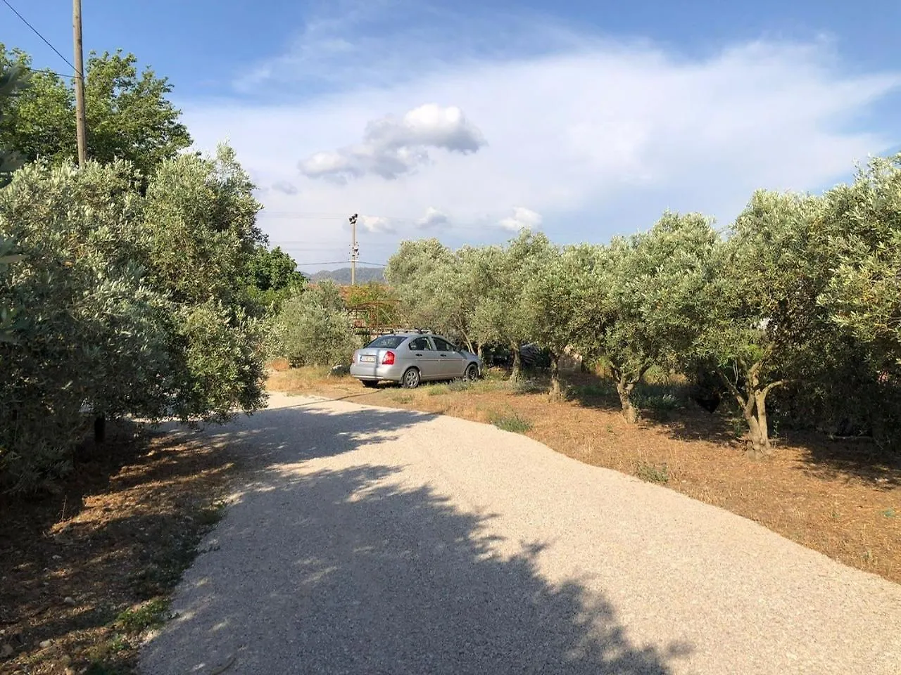 Defne Olive Gardens, Koca Calis, Fethiye - Previously Defne Pansiyon