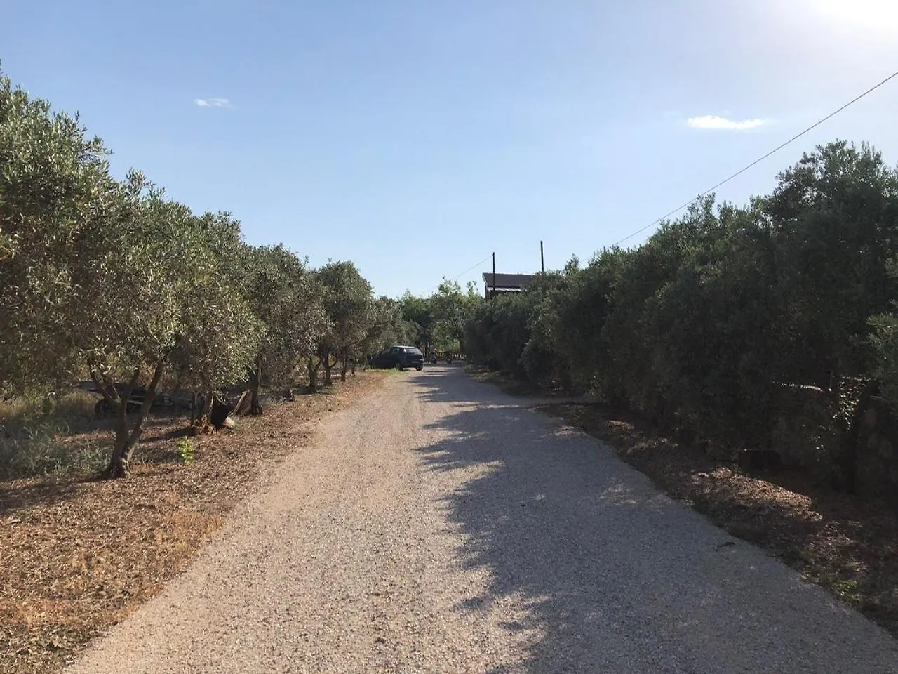 Defne Olive Gardens, Koca Calis, Fethiye - Previously Defne Pansiyon 0*,  터키