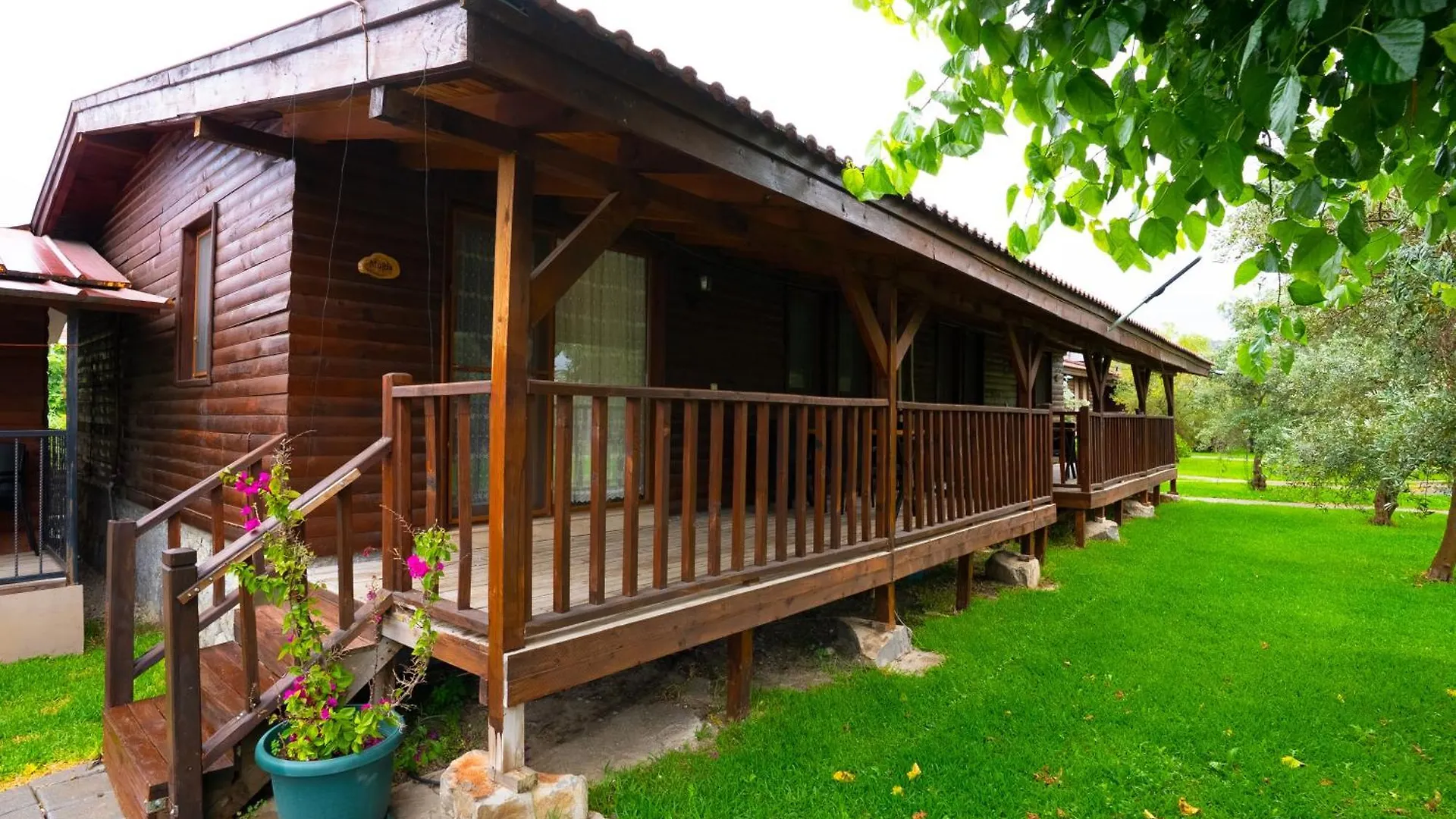 Holiday home Defne Olive Gardens, Koca Calis, Fethiye - Previously Defne Pansiyon Turkey