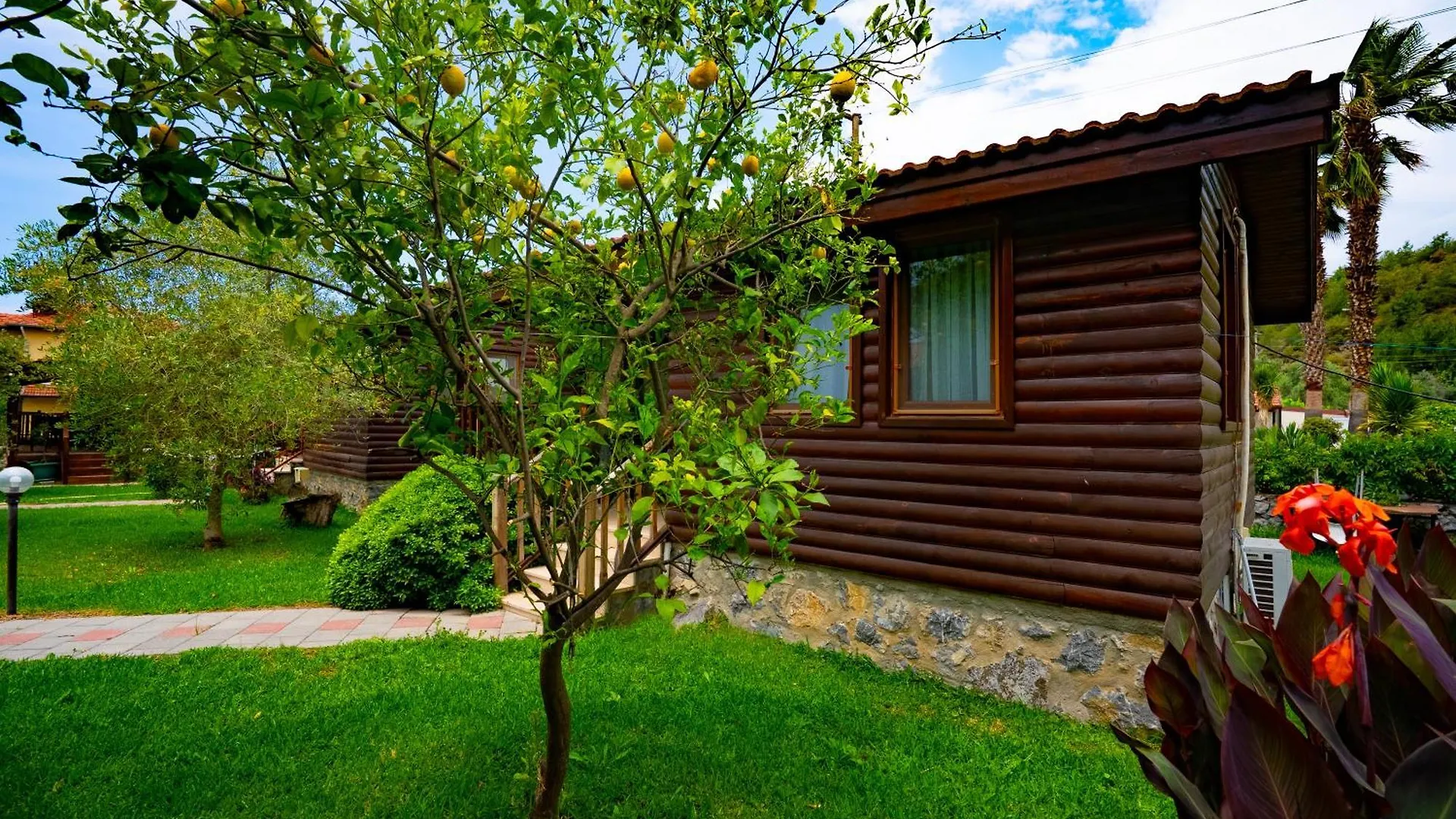 Defne Olive Gardens, Koca Calis, Fethiye - Previously Defne Pansiyon