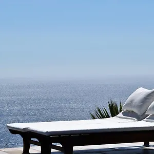 Orman Evi Kabak Avalon, Faralya