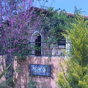 Tatil Evi Fig Garden, Kayaköy