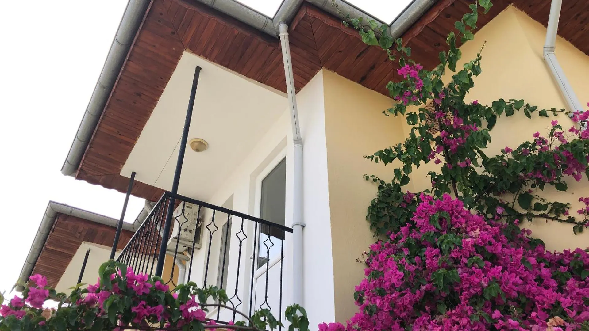 Holiday home Defne Olive Gardens, Koca Calis, Fethiye - Previously Defne Pansiyon Turkey