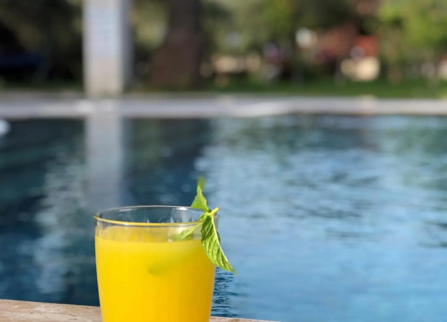 Defne Olive Gardens, Koca Calis, Fethiye - Previously Defne Pansiyon