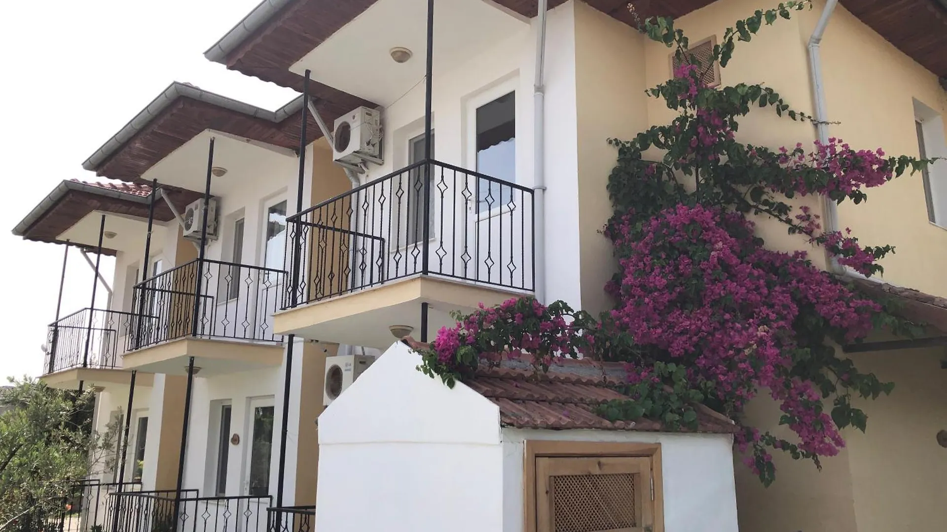 Holiday home Defne Olive Gardens, Koca Calis, Fethiye - Previously Defne Pansiyon