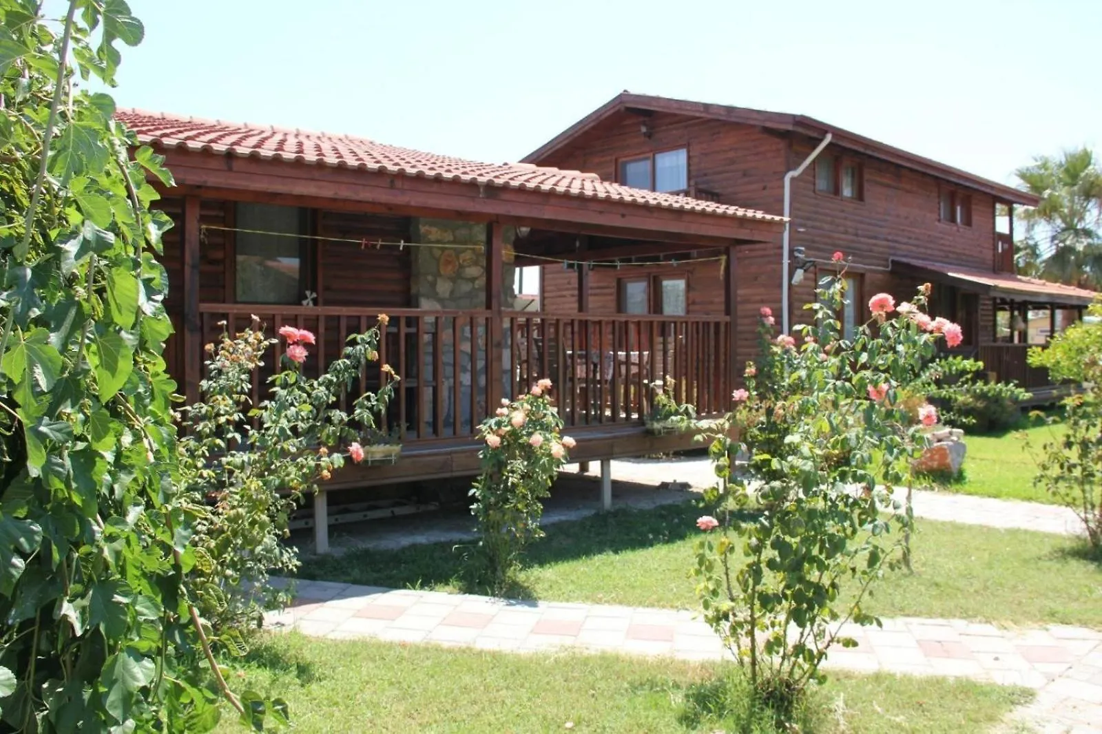 Defne Olive Gardens, Koca Calis, Fethiye - Previously Defne Pansiyon Turkey