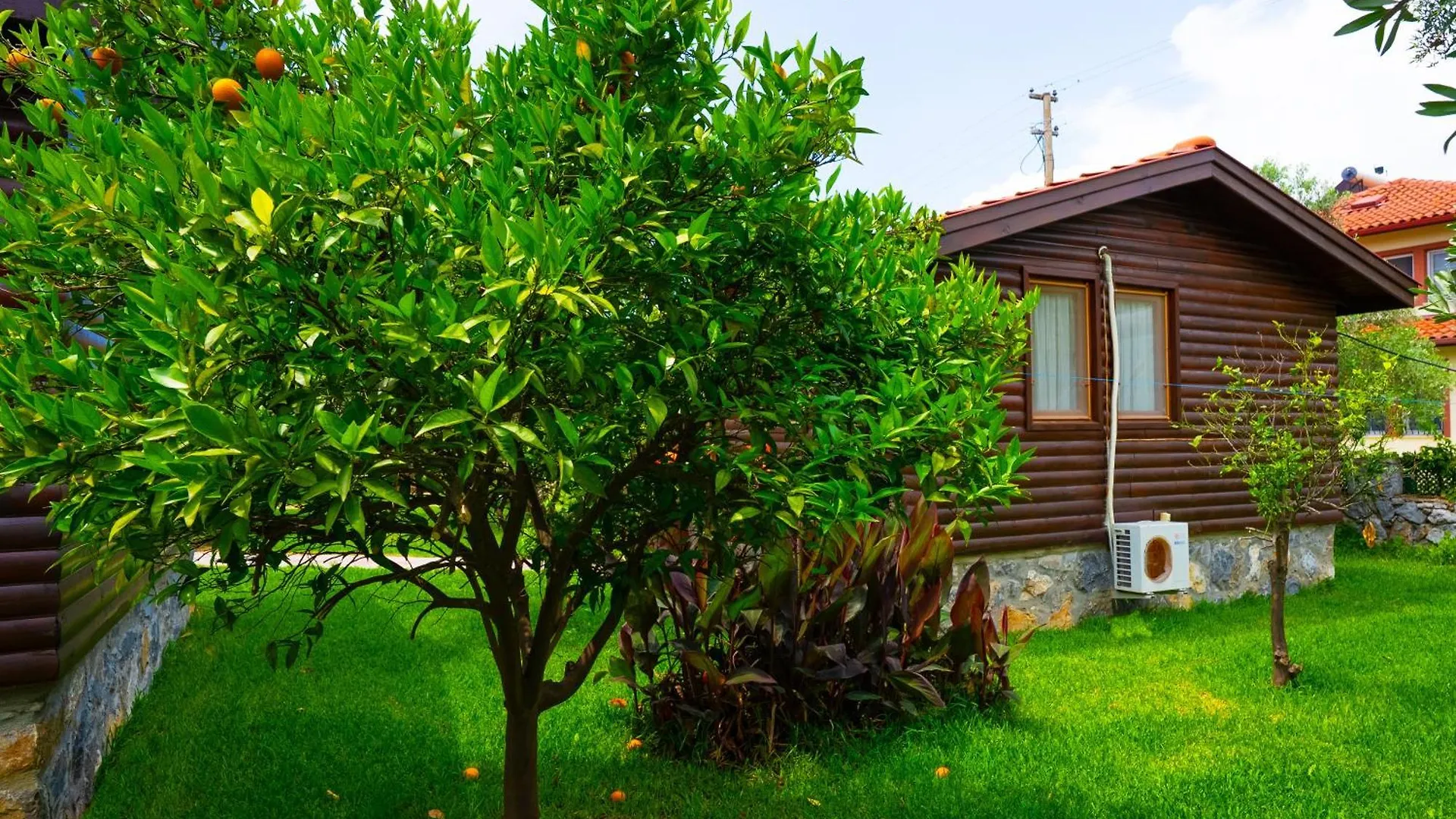 Defne Olive Gardens, Koca Calis, Fethiye - Previously Defne Pansiyon
